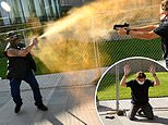 Photo captures ‘Patriot Muster’ protester firing mace at security guard who shoots him dead