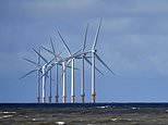 Energy suppliers can claim ‘green’ credentials by paying just 93p a year per customer