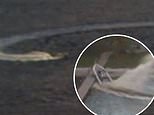 Moment unmanned speedboat veers wildly out of control after 3 men fell overboard