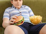 Childhood obesity may be caused by changes in the reward centre of the brain