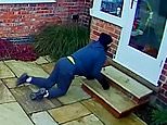 Cat burglar! Moment creeping thief is scared off by homeowner’s ginger moggie&nbsp;