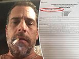 Laptop allegedly belonging to Hunter Biden is linked to FBI ‘White Collar’ money laundering probe