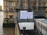 Activist scales Big Ben scaffolding to unfurl giant banner