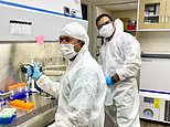 Scientists use light-sensing protein to restore vision