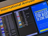 Britain couldn’t eradicate Covid-19 even if it banned ALL international travel