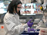 Coronavirus UK: Oxford vaccine works perfectly by safely triggering an immune response