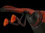 Stunning image of a red palm weevil wins top prize at this year’s Luminar Bug Photography Awards