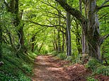 Exploring the Fosse Way – a quintessentially English road at the heart of Roman Britain 