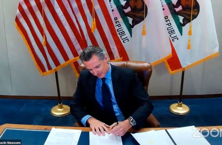 Group sues to block California boardroom diversity law