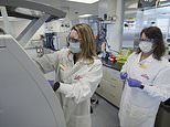 Trials for EIi Lilly’s coronavirus antibody treatment paused