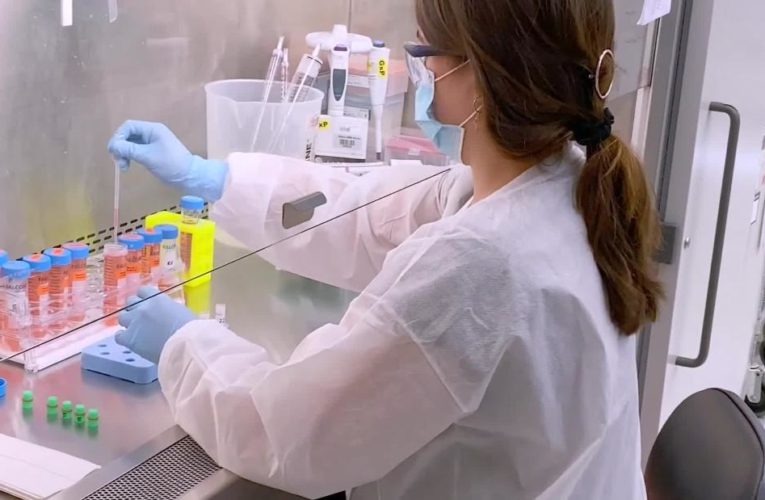 Pfizer says early analysis shows its vaccine is 90% effective