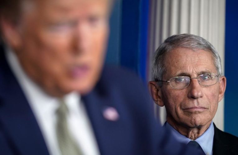 The White House unloaded on Fauci after he called out Trump for allowing a neuroradiologist with no training with infectious disease to shape coronavirus strategy