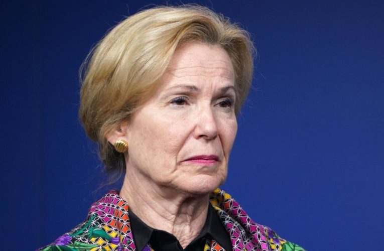 Deborah Birx has not been approached by team Biden about staying on as a government employee