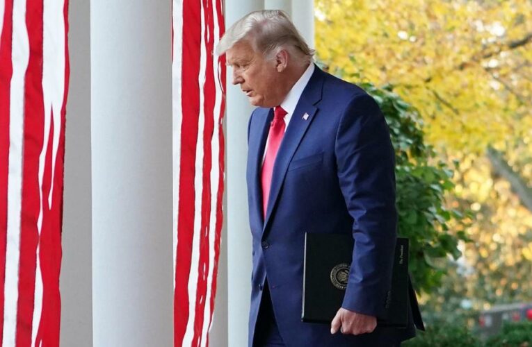 The President flexed the power of his office to taint America’s free and fair election by firing the official who declared the vote the most secure in US history