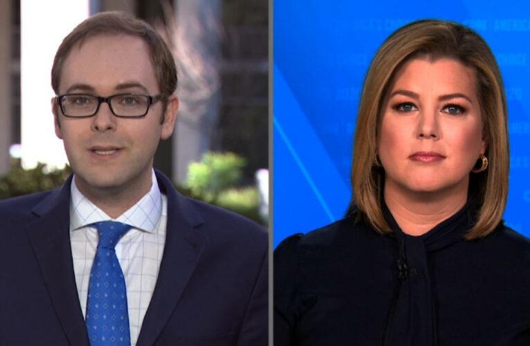 ‘Bonkers conspiracy theory’: Dale on Trump attack
