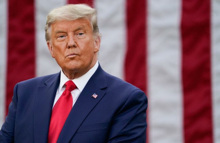 Many of the President’s maneuvers seem outlandish. But constitutional experts warn that he is already doing irreparable harm to the nation.