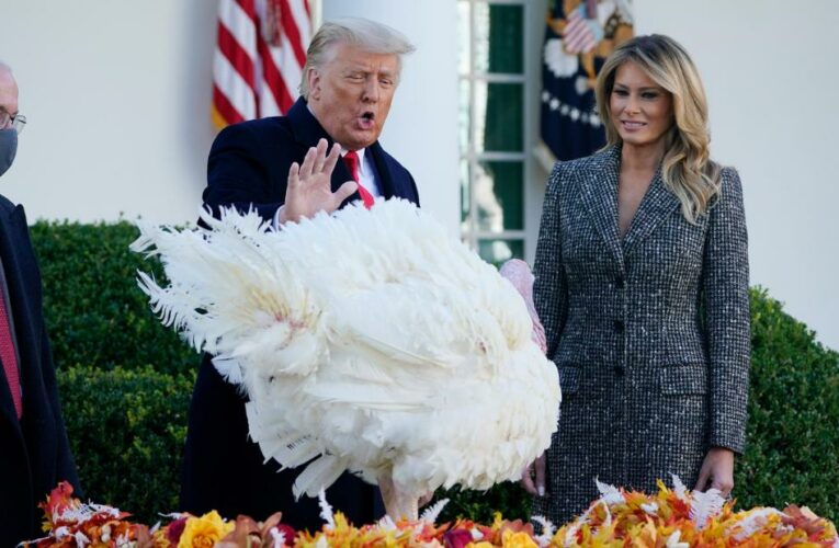 The President’s annual Thanksgiving proclamation calls for Americans to ‘gather’ even though public health officials have explicitly warned against it