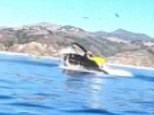 Humpback whale nearly swallows two kayakers in California before spitting them out