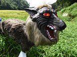 Japanese town deploys ‘Monster Wolf’ robots to deter bears from attacking