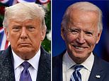 Donald Trump ‘electoral fraud’ affidavits include bizarre claims