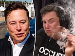 SpaceX and Tesla staffers say they check Elon Musk’s Twitter every day for erratic comments
