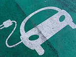 Crackdown on diesel and petrol vehicles could be sped up to bring in ban by 2030 