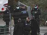 Police and RSPCA raid suspected puppy farm on Sussex traveller site before ‘rescuing dogs’