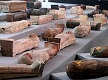Egyptian officials unveil 100 sarcophagi found in vast necropolis near Cairo