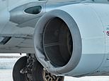 Boeing 737 runs over and kills a brown bear while landing in Alaska after animal strayed onto runway