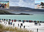 Hundreds flock to Falkland Islands beaches declared free of LANDMINES after 1982 war with Argentina