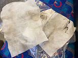 London commuter shares shocking photos showing disgusting grime on Central Line