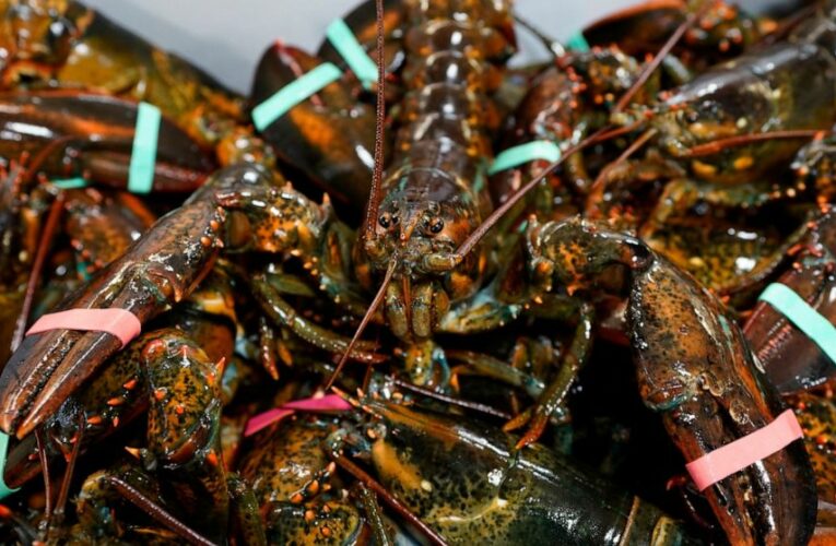 EU parliament backs lobster deal and EU-US mini trade pact