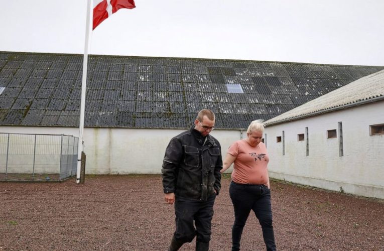 Danish farmers lament decision to cull all Denmark’s minks