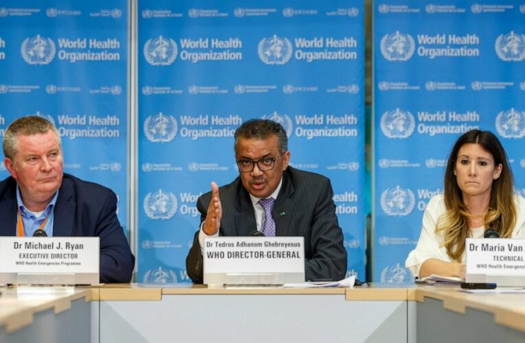 Recordings reveal WHO’s analysis of pandemic in private