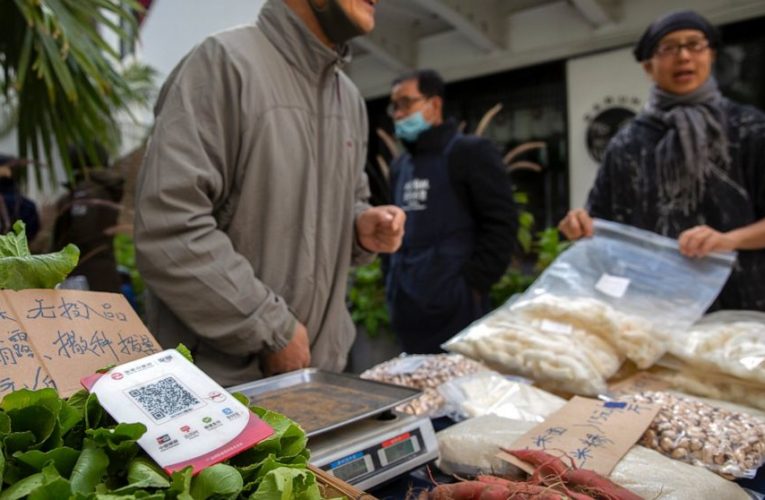 Shanghai stock exchange suspends Ant Group listing