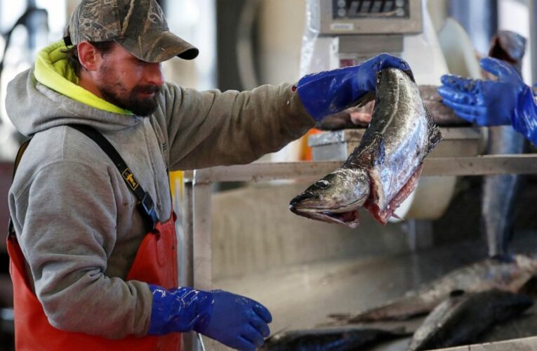 Pandemic has taken a bite out of seafood trade, consumption