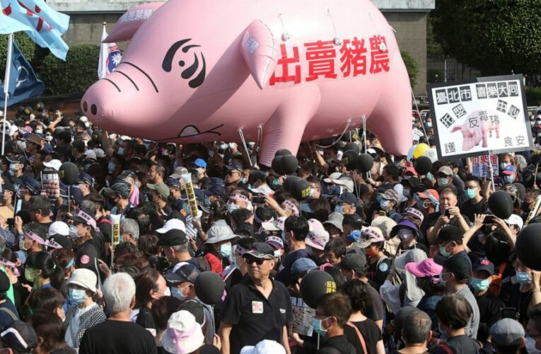 Thousands march in Taiwan against US pork imports