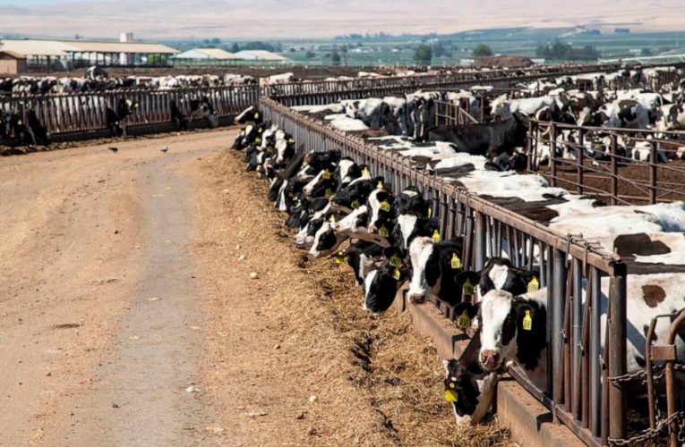 Washington Supreme Court: Farmworkers to get overtime pay