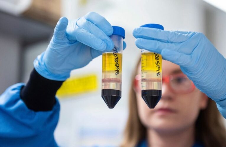 AstraZeneca manufacturing error clouds vaccine study results