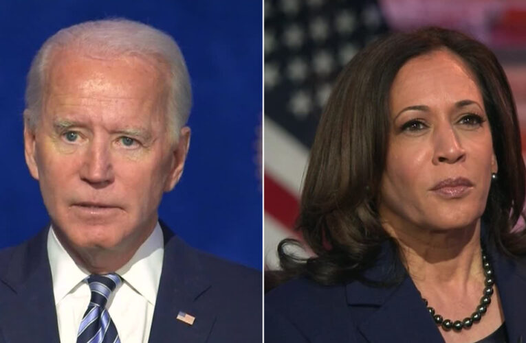 The President-elect announced an effective promotion for Dr. Fauci, who Trump has marginalized and insulted