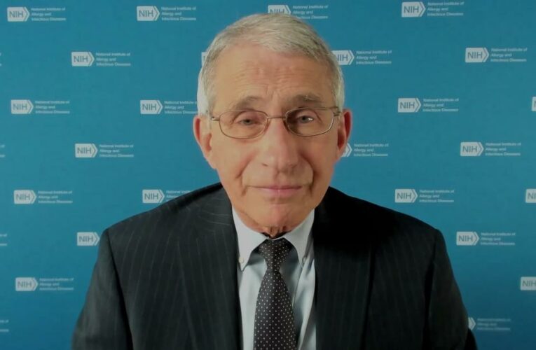 Dr. Fauci: If we did this across the board, we could blunt the surge