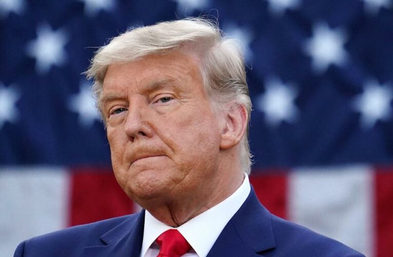 Trump asks SCOTUS to invalidate votes in battleground states