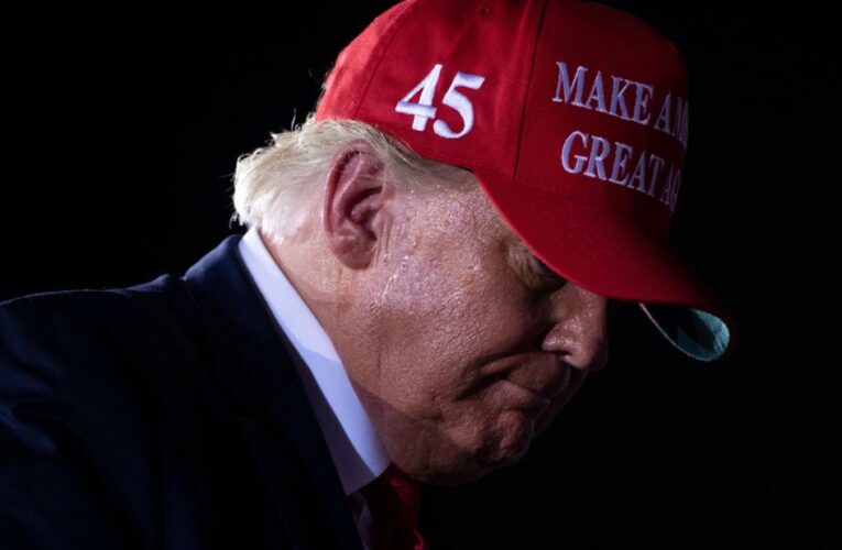 The President’s mere entertainment of invoking martial law to negate Biden’s victory shows how focused he is on his own interests while the nation is mired in crisis