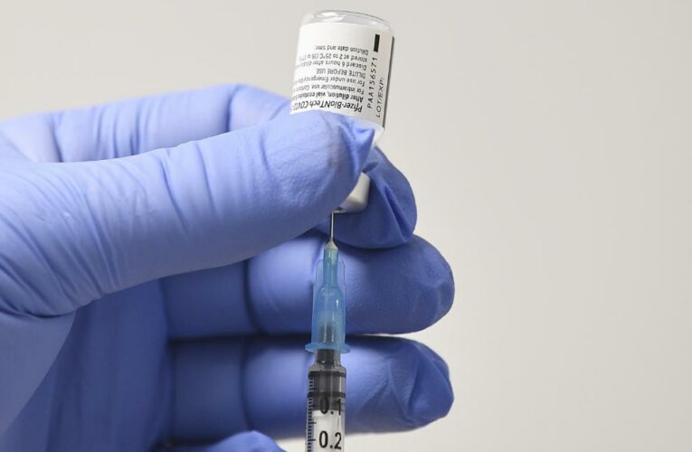 CDC advisers vote to recommend Pfizer vaccine in US