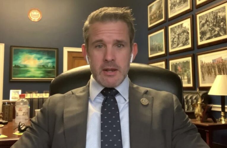 ‘It’s nuts’: GOP lawmaker reacts to Oval Office meeting