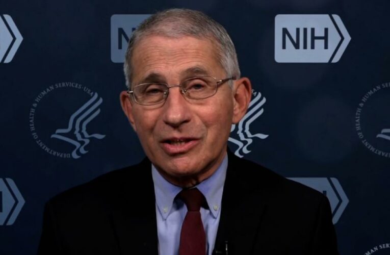 Treasury secretary says direct payments may start as early as tonight