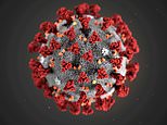 Matt Hancock blames new strain of coronavirus for surging cases in London and the South East