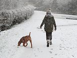 Is white Christmas on the way? Polar ice bomb looms with temperatures to plummet as low as minus 7C