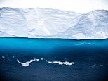 First picture of trillion-ton iceberg travelling on devastating collision course with South Georgia