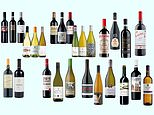 The Daily Mail’s Annual Wine Awards: The 60 best-value wines on the high street right now&nbsp;